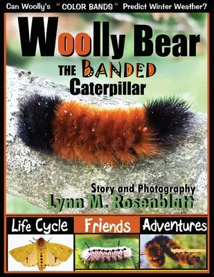 Wolliger Bär, die gebänderte Raupe: Lebenszyklus, Freunde und Abenteuer - Woolly Bear the Banded Caterpillar: Life Cycle, Friends and Adventures