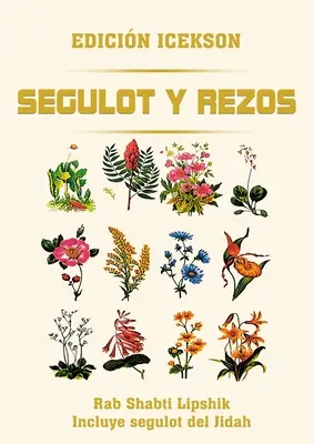 Segulot und Rezos - Segulot y Rezos