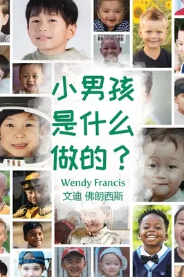 Woraus sind kleine Jungs gemacht? (Chinesischsprachige Ausgabe) - What are little boys made of? (Chinese Language Edition)