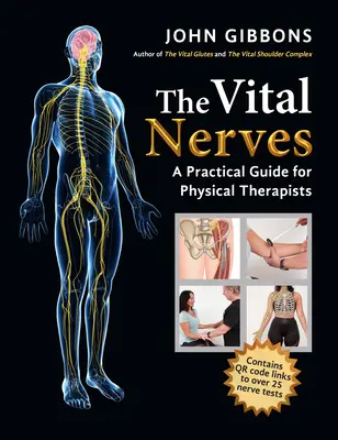 Die Vitalnerven: Ein praktischer Leitfaden für Physiotherapeuten - The Vital Nerves: A Practical Guide for Physical Therapists