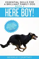 Hier Junge! Schritt für Schritt zum verblüffenden Rückruf Ihres brillanten Familienhundes - Here Boy!: Step-by-Step to a Stunning Recall from your Brilliant Family Dog