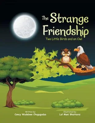 Die seltsame Freundschaft: Zwei kleine Vögel und eine Eule - The Strange Friendship: Two Little Birds and an Owl