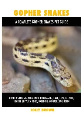 Gophernattern: Gophernattern: Allgemeine Informationen, Kauf, Pflege, Kosten, Haltung, Gesundheit, Zubehör, Nahrung, Zucht und mehr! A Com - Gopher Snakes: Gopher Snakes General Info, Purchasing, Care, Cost, Keeping, Health, Supplies, Food, Breeding and More Included! A Com