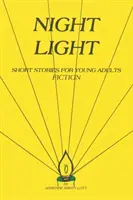 Nachtlicht: Kurzgeschichten für junge Erwachsene - Night Light: Short Stories for Young Adults