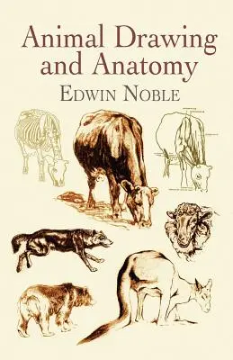Zeichnung und Anatomie von Tieren - Animal Drawing and Anatomy