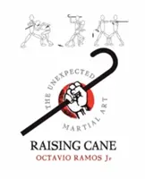 Raising Cane - Die unerwartete Kampfkunst - Raising Cane - The Unexpected Martial Art