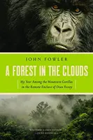 Ein Wald in den Wolken - A Forest in the Clouds