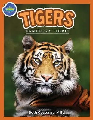 Tiger, Panthera Tigris, 2-4 Jahre - Tigers, Panthera Tigris ages 2-4