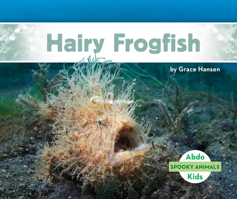 Haariger Anglerfisch - Hairy Frogfish