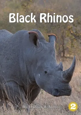 Schwarze Nashörner - Black Rhinos
