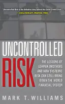 Unkontrolliertes Risiko: Die Lektionen von Lehman Brothers und wie systemische Risiken immer noch das Weltfinanzsystem zu Fall bringen können - Uncontrolled Risk: Lessons of Lehman Brothers and How Systemic Risk Can Still Bring Down the World Financial System