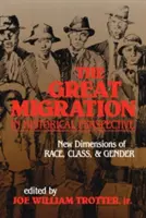 Die Große Migration in historischer Perspektive: Neue Dimensionen von Ethnie, Klasse und Geschlecht - The Great Migration in Historical Perspective: New Dimensions of Race, Class, and Gender