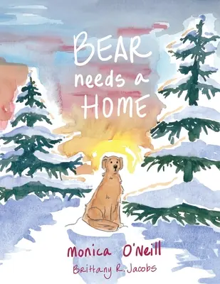 Bär braucht ein Zuhause - Bear Needs A Home