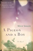 Eine Taube und ein Junge - A Pigeon and a Boy