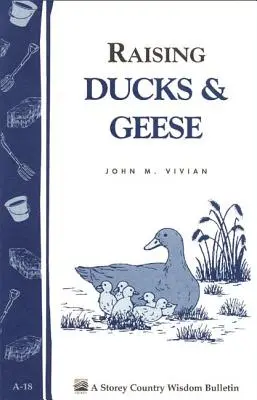 Enten und Gänse züchten: Storey's Country Wisdom Bulletin A-18 - Raising Ducks & Geese: Storey's Country Wisdom Bulletin A-18