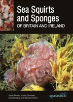 Seestöpsel und Meeresschwämme in Großbritannien und Irland - Sea Squirts and Sea Sponges of Britain and Ireland