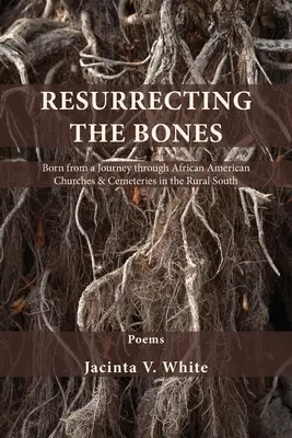 Die Knochen wiedererwecken: Entstanden auf einer Reise durch afroamerikanische Kirchen und Friedhöfe im ländlichen Süden - Resurrecting the Bones: Born from a Journey through African American Churches & Cemeteries in the Rural South