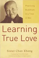 Wahre Liebe lernen: Praktizierender Buddhismus in Zeiten des Krieges - Learning True Love: Practicing Buddhism in a Time of War