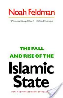 Der Fall und Aufstieg des Islamischen Staates - The Fall and Rise of the Islamic State