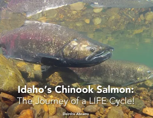 Idahos Chinook-Lachs: Die Reise eines Lebenszyklusses - Idaho's Chinook Salmon: The Journey of a LIFE Cycle