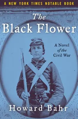 Die schwarze Blume: Ein Roman aus dem Bürgerkrieg - The Black Flower: A Novel of the Civil War