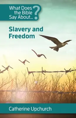 Was sagt die Bibel über Sklaverei und Freiheit? - What Does the Bible Say About Slavery and Freedom