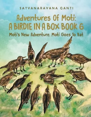 Die Abenteuer von Moti, einem Vögelchen in einer Box, Buch 6: Motis neues Abenteuer. Moti geht zum Schlag - Adventures Of Moti A Birdie In A Box Book 6: Moti's New Adventure. Moti Goes To Bat