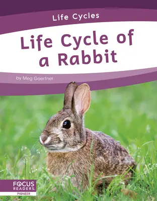 Lebenszyklus eines Kaninchens - Life Cycle of a Rabbit