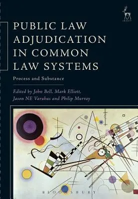 Die öffentlich-rechtliche Rechtsprechung in Common Law Systemen: Prozess und Substanz - Public Law Adjudication in Common Law Systems: Process and Substance