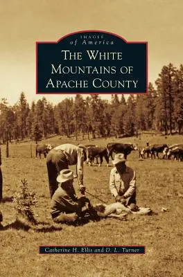 Die weißen Berge von Apache County - White Mountains of Apache County