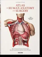 Bourgery. Atlas der menschlichen Anatomie und Chirurgie - Bourgery. Atlas of Human Anatomy and Surgery