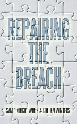 Die Reparatur der Bresche - Repairing the Breach