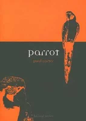 Papagei - Parrot