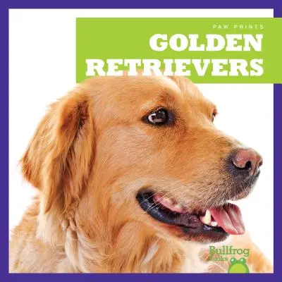 Goldene Retriever - Golden Retrievers