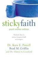 Klebriger Glaube, Ausgabe für Jugendbetreuer: Praktische Ideen, um den Glauben von Teenagern nachhaltig zu fördern - Sticky Faith, Youth Worker Edition: Practical Ideas to Nurture Long-Term Faith in Teenagers