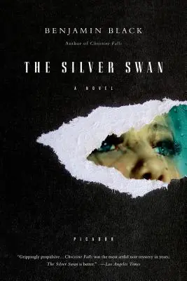 Silberner Schwan - Silver Swan