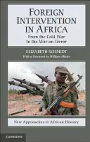 Ausländische Interventionen in Afrika: Vom Kalten Krieg zum Krieg gegen den Terror - Foreign Intervention in Africa: From the Cold War to the War on Terror