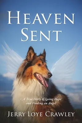 Vom Himmel geschickt: Eine wahre Geschichte vom Verlieren der Hoffnung und dem Finden eines Engels - Heaven Sent: A True Story of Losing Hope and Finding an Angel