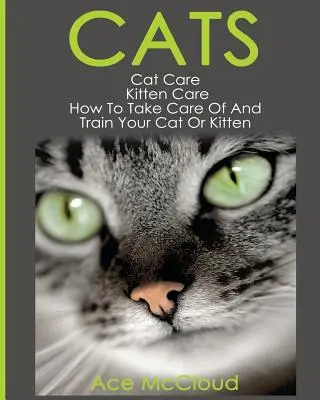 Katzen: Katzenpflege: Kätzchenpflege: Wie Sie Ihre Katze oder Ihr Kätzchen pflegen und erziehen - Cats: Cat Care: Kitten Care: How To Take Care Of And Train Your Cat Or Kitten