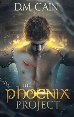 Das Phönix-Projekt - The Phoenix Project