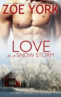 Liebe im Schneesturm - Love in a Snowstorm