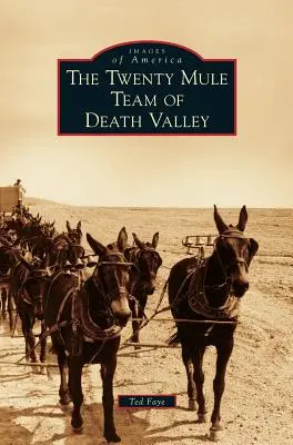 Zwanzig Maultiergespanne im Tal des Todes - Twenty Mule Team of Death Valley