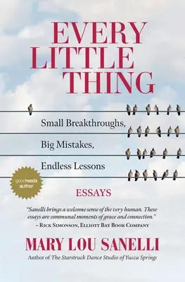 Every Little Thing: Kleine Durchbrüche, große Fehler, unendliche Lektionen - Every Little Thing: Small Breakthroughs, Big Mistakes, Endless Lessons