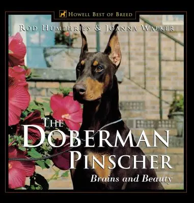 Der Dobermann Pinscher: Köpfchen und Schönheit - The Doberman Pinscher: Brains and Beauty