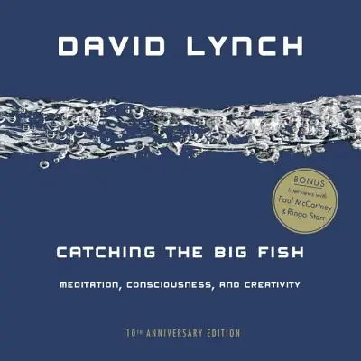 Den großen Fisch fangen: Meditation, Bewußtsein und Kreativität - Catching the Big Fish: Meditation, Consciousness, and Creativity