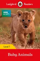 BBC Erde: Baby-Tiere - Marienkäfer-Lesebücher Stufe 1 - BBC Earth: Baby Animals - Ladybird Readers Level 1