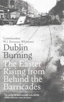 Dublin brennt: Der Osteraufstand von hinter den Barrikaden - Dublin Burning: The Easter Rising from Behind the Barricades