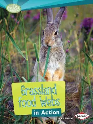 Grasland-Nahrungsnetze in Aktion - Grassland Food Webs in Action