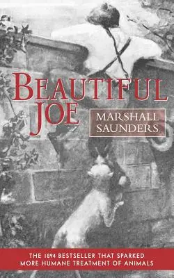 Beautiful Joe (Taschenbuch) - Beautiful Joe (Paperback)