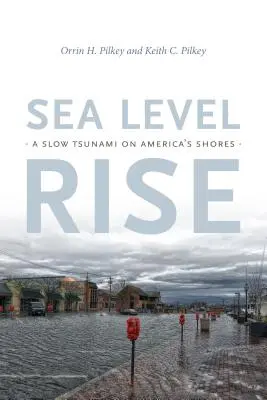 Anstieg des Meeresspiegels: Ein langsamer Tsunami an Amerikas Ufern - Sea Level Rise: A Slow Tsunami on America's Shores